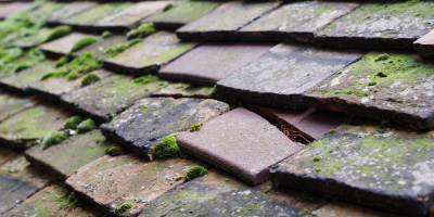 Carterton roof repair costs